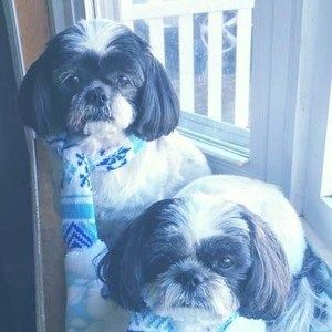 Meet your Posher, Maureen